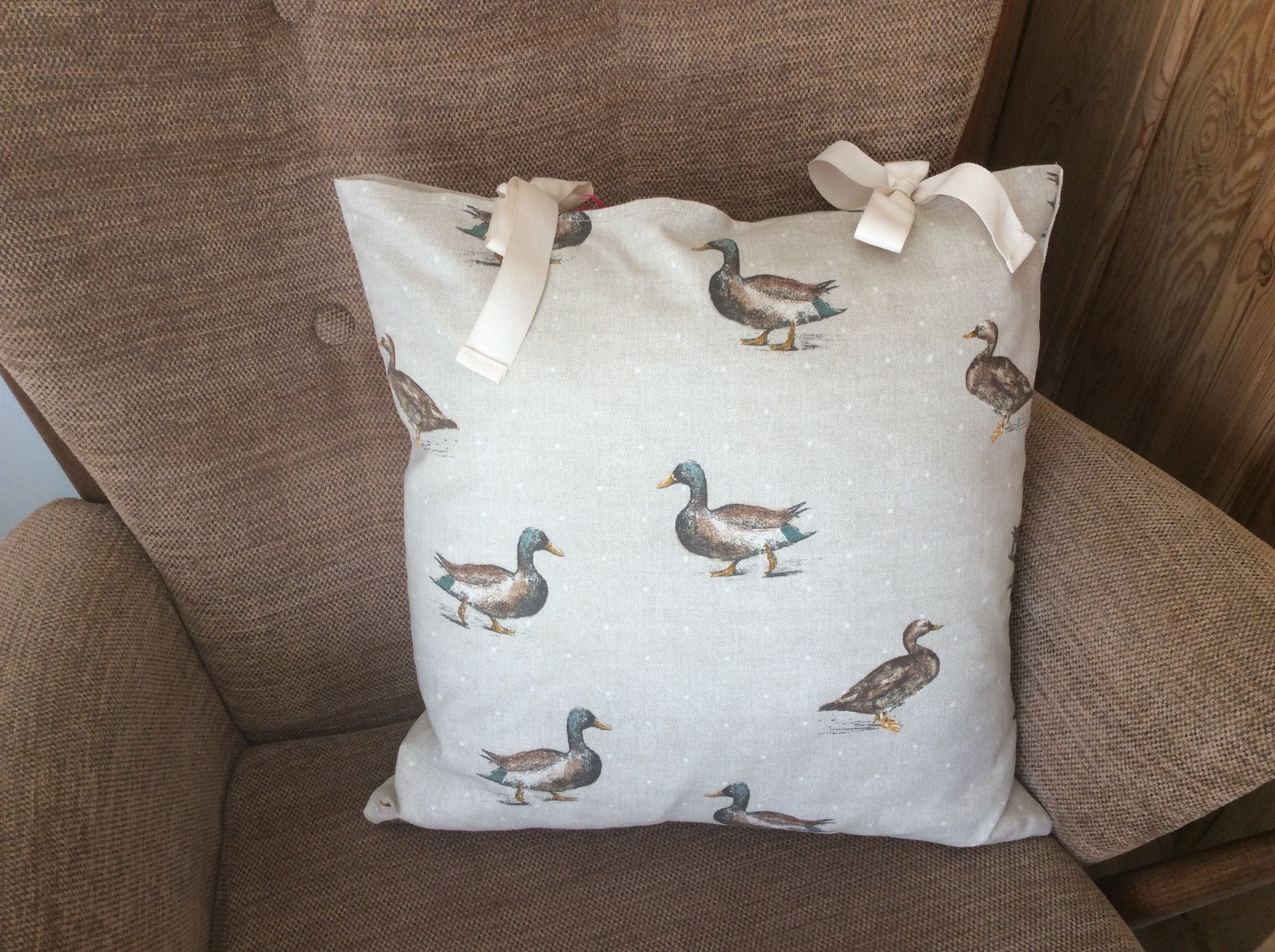 Cushion - ducks